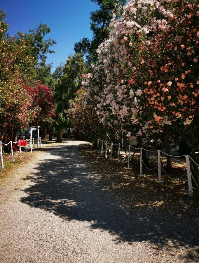 Camping Pitagora Hotell Rossano Eksteriør bilde