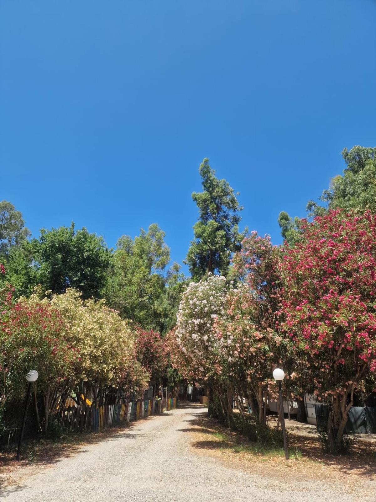Camping Pitagora Hotell Rossano Eksteriør bilde